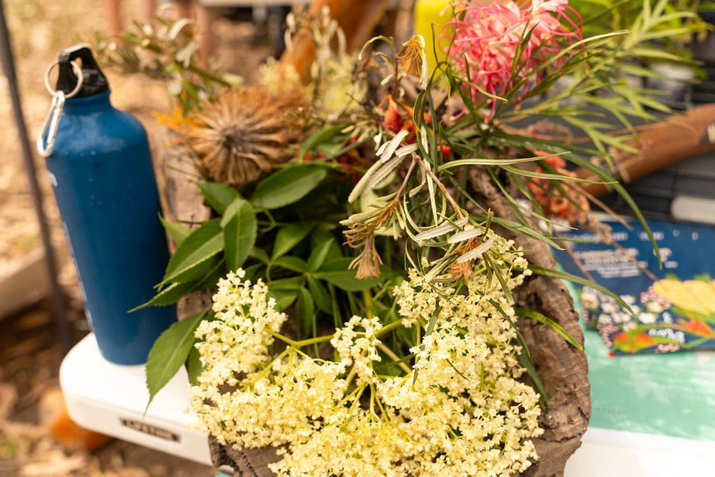 Native bush foods and plants displayed at a community stall